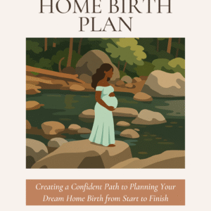 The Home Birth Plan Guide Cover